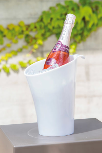 Champañera Pure hogarami
